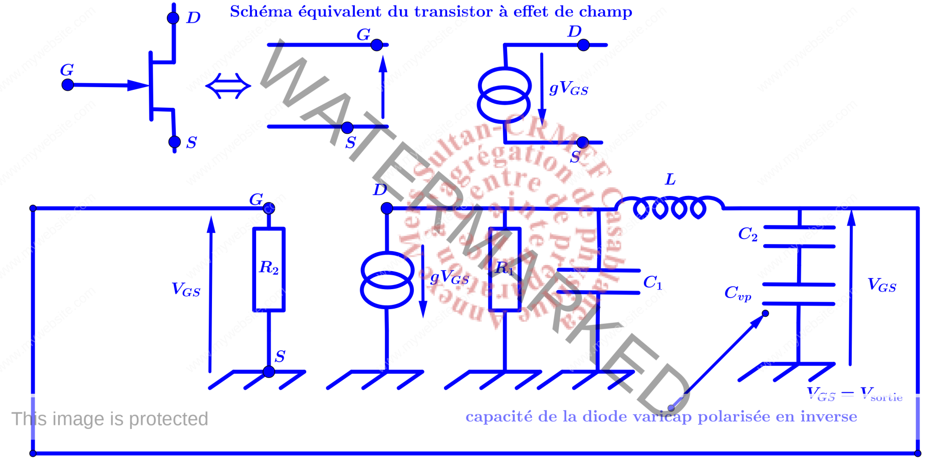 Oscillateur à cristal à verouillage de phase (10 -500 MHz) : Série PLXO